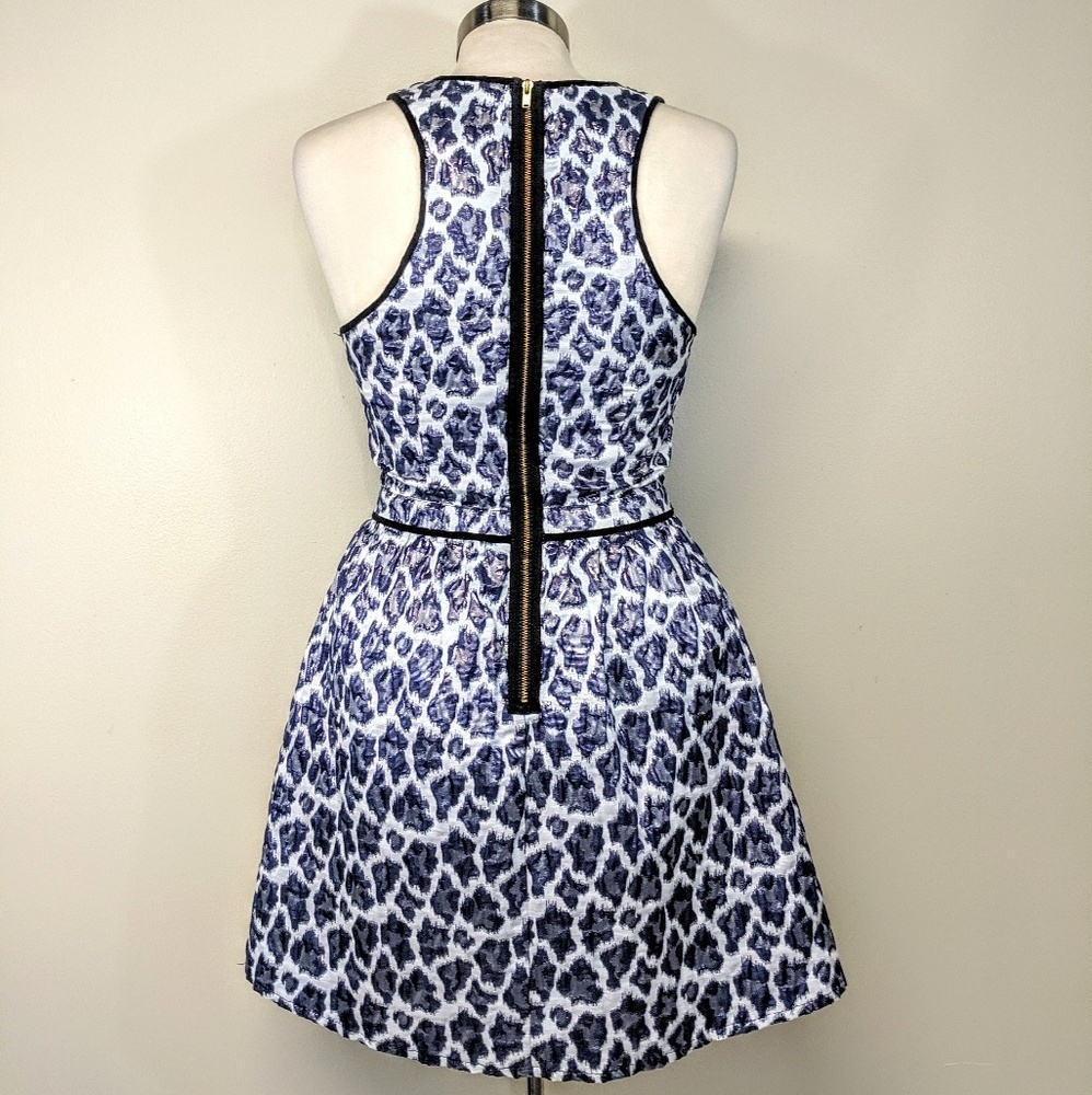Top Shop Leopard Fit & Flare Dress - Picture 5 of 7
